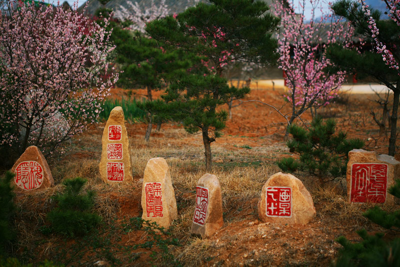 咏梅印谱坡