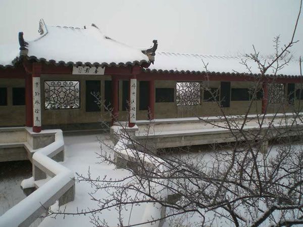 踏雪桥