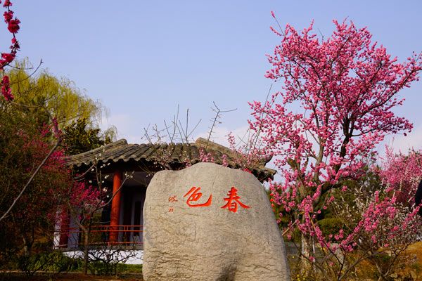 坐中几客轩