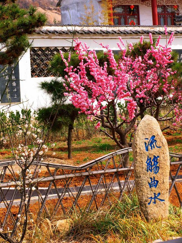咏梅对联影壁