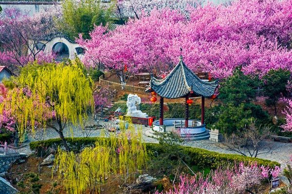 梅花花神
