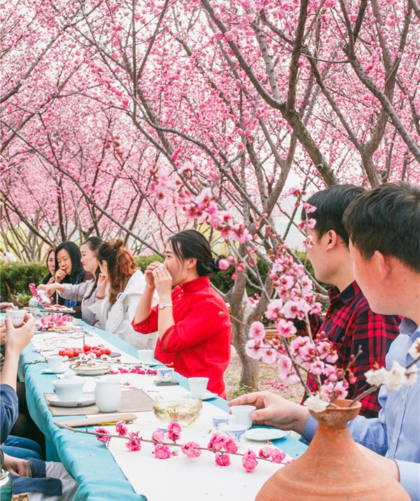 第二届梅花节花絮（2017年3月5日-4月5日）