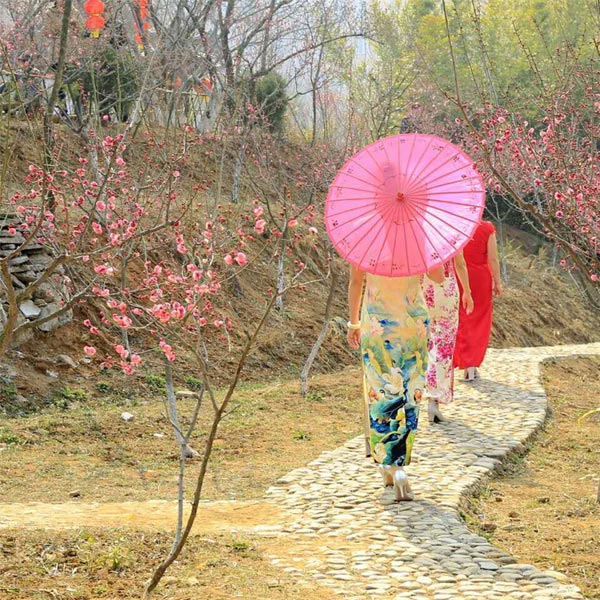 第二届梅花节花絮（2017年3月5日-4月5日）