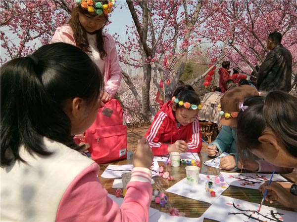 第二届梅花节花絮（2017年3月5日-4月5日）