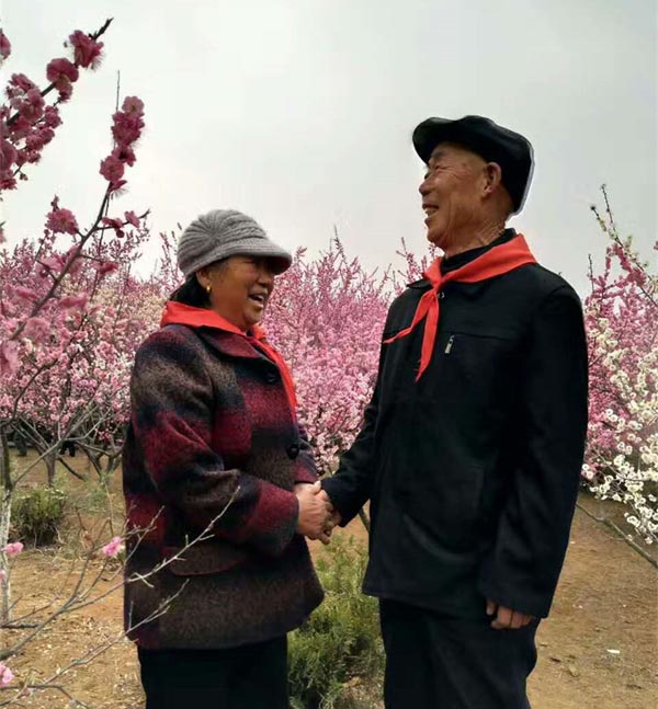第二届梅花节花絮（2017年3月5日-4月5日）