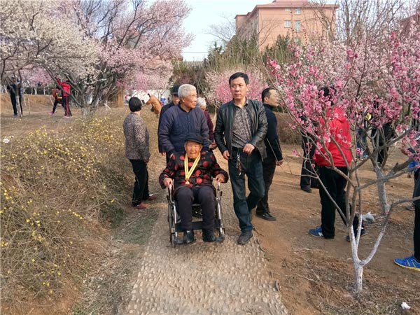 第二届梅花节花絮（2017年3月5日-4月5日）