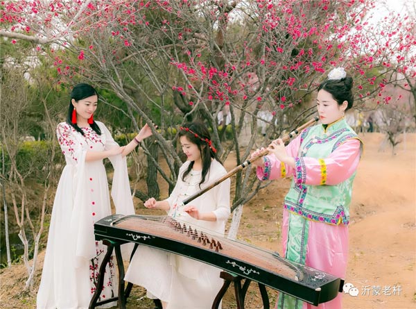 第二届梅花节花絮（2017年3月5日-4月5日）