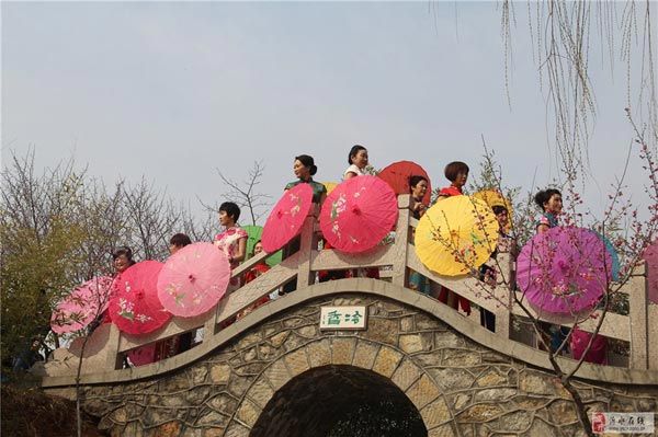 第二届梅花节花絮（2017年3月5日-4月5日）