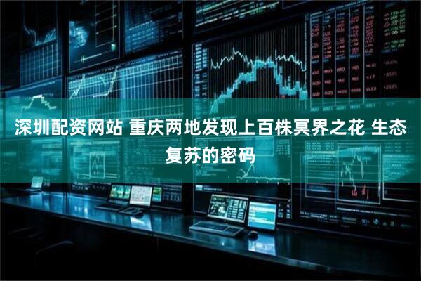 深圳配资网站 重庆两地发现上百株冥界之花 生态复苏的密码