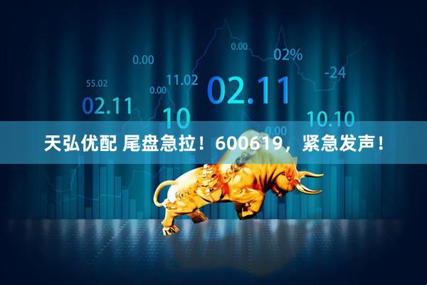 天弘优配 尾盘急拉！600619，紧急发声！